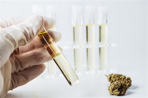 top cbd companies that drop ship third party testing|best brands of cbd.